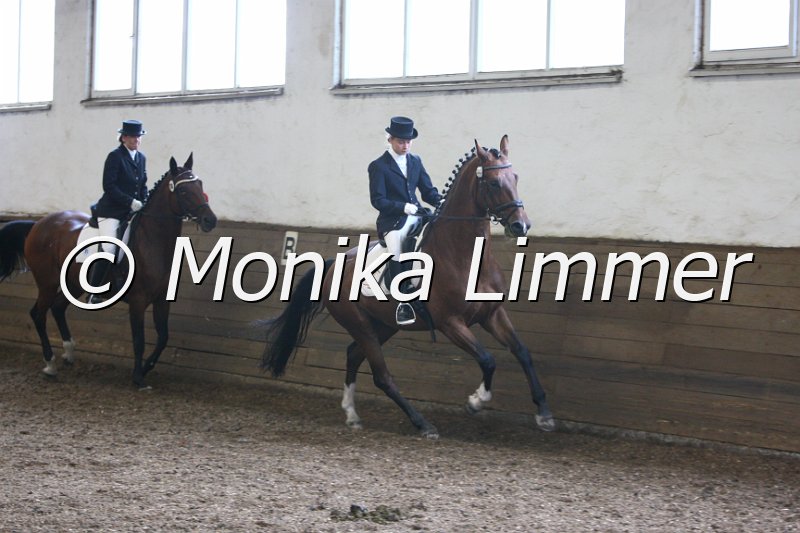 009M3359_Dreamcatcher_Dressur A.JPG